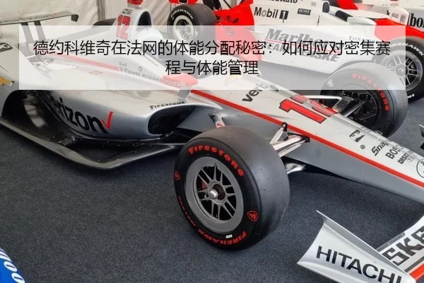 de-yue-ke-wei-qi-zai-fa-wang-de-ti-neng-fen-pei-mi-mi-ru-he-ying-dui-mi-ji-sai-cheng-yu-ti-neng-guan-li-2-431.jpg